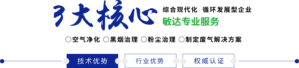 日B日B日鸡吧敏达环保科技（嘉兴）有限公司